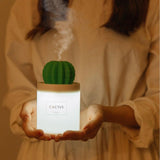 Cactus Humidifier Kevous