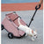 Small Dog And Cat Strollers Travel Pet Dog Carts Dog Carrier With Wheels Pet Travel Crate