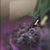 Pet Comb Cat Hair Removal Comb Oneclick Scraping Blade Dog Open Knot Hair Removal Comb For Dog And Cat Grooming Tool