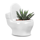 FloraFlush" Toilet-shaped Planter
