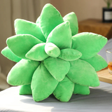 Cactus Cushion