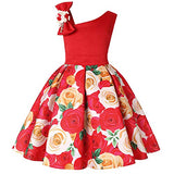 Girls Flower Dresses One Shoulder with Bowknot Princess Gown for Wedding Birthday Party 2-10Years