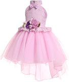 Girls Party Dress Princess Dress for Girls Formal Dresses Elegant Baby Girls Dress Age 0-10 Years