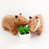 Capybara Rodent Plush