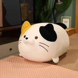 Chonky Cat Plush