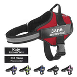 The Personalized NO PULL Harness - Kevous