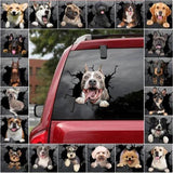 3D Dog Stickers - Kevous