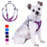 Breathable Mesh Dog Harness Vest For Small Medium Dogs Reflective Puppy Harness
