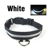 Luminous Led Dog Collar Anti-Lost/ Car Accident Avoid Collar for Dogs Puppies