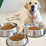 Stainless Steel Dog Feeding Bowl - Kevous