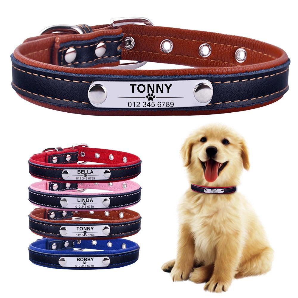 Adjustable Personalized Dog Collar - Kevous
