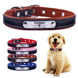 Adjustable Personalized Dog Collar - Kevous