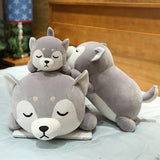 Husky & Shiba Inu Plush