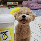 Lemonade Plush Dog Toy