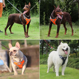 Medium Large Dog Harness Vest Breathable Dog Training Harness Adjustable