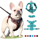 No Pull Dog Harness and Leash Set Adjustable Pet Harness Vest For Small Dogs