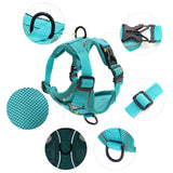 No Pull Dog Harness and Leash Set Adjustable Pet Harness Vest For Small Dogs
