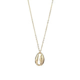 Necklace Seashell Gold Chain - Kevous